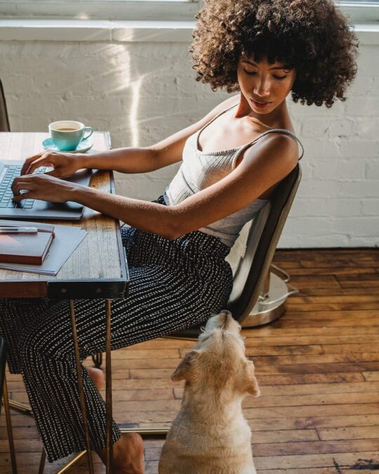 New Law Protects Pet Owners From Pet Rent and Breed Discrimination