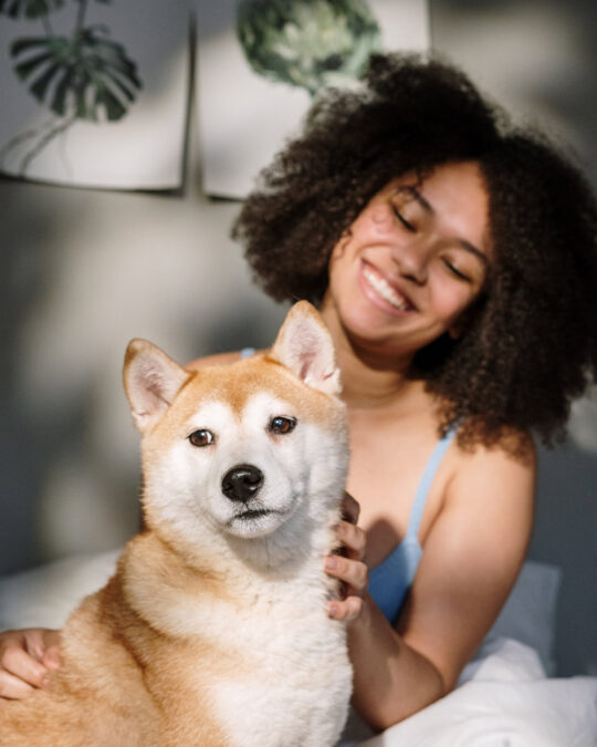 Fatal Consequences The Danger of Just One Piece of SugarFree Gum for