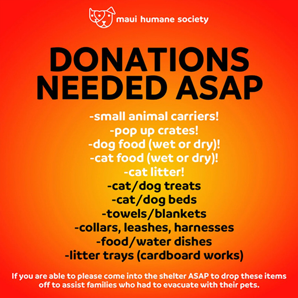 Maui Humane Society Shares Several Ways People Can Help Animals During