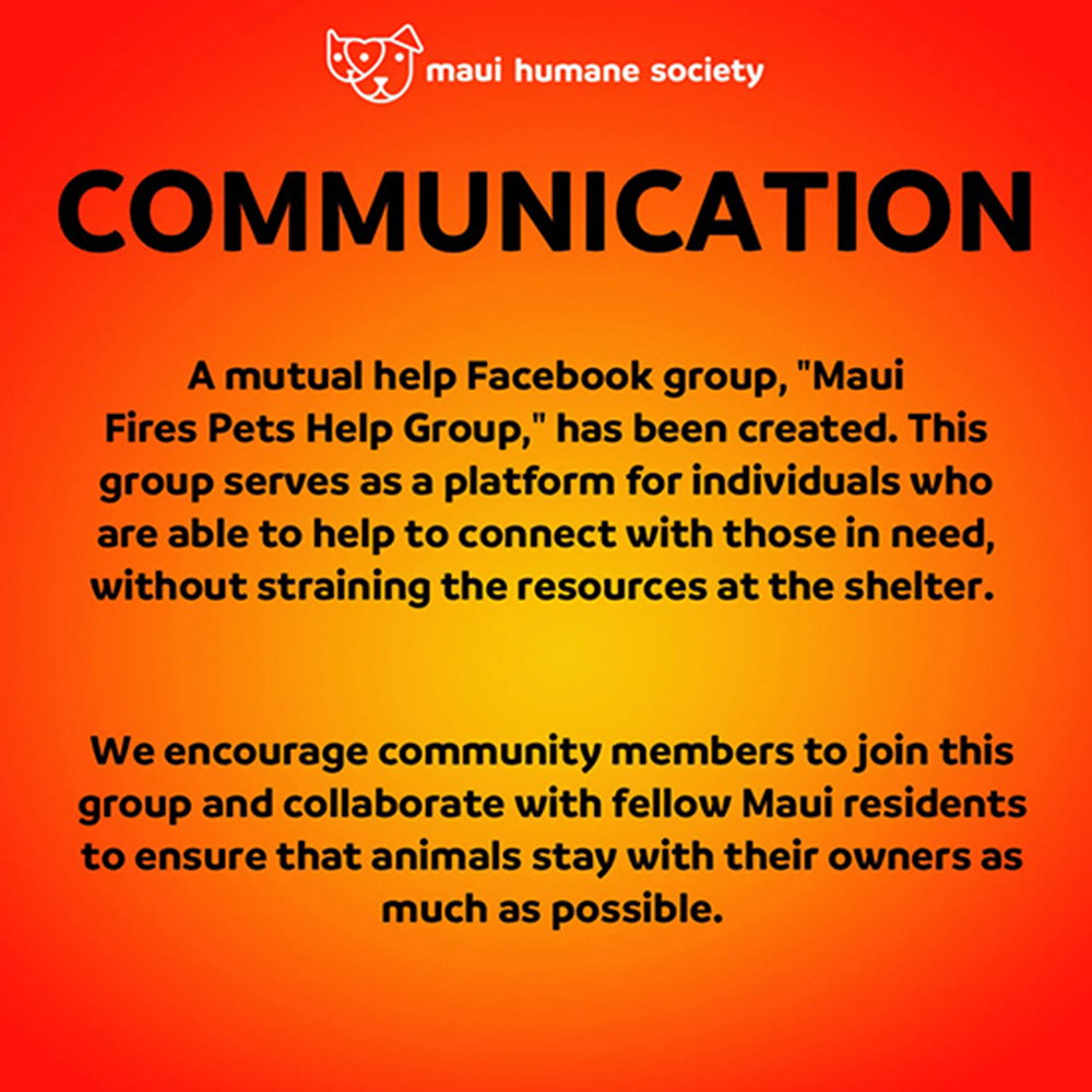 Maui Humane Society Shares Several Ways People Can Help Animals During