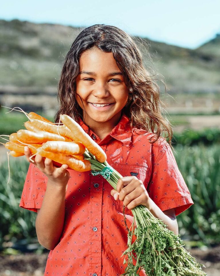 An Apple a Day Unveiling the Science Behind Fruit and Vegetable