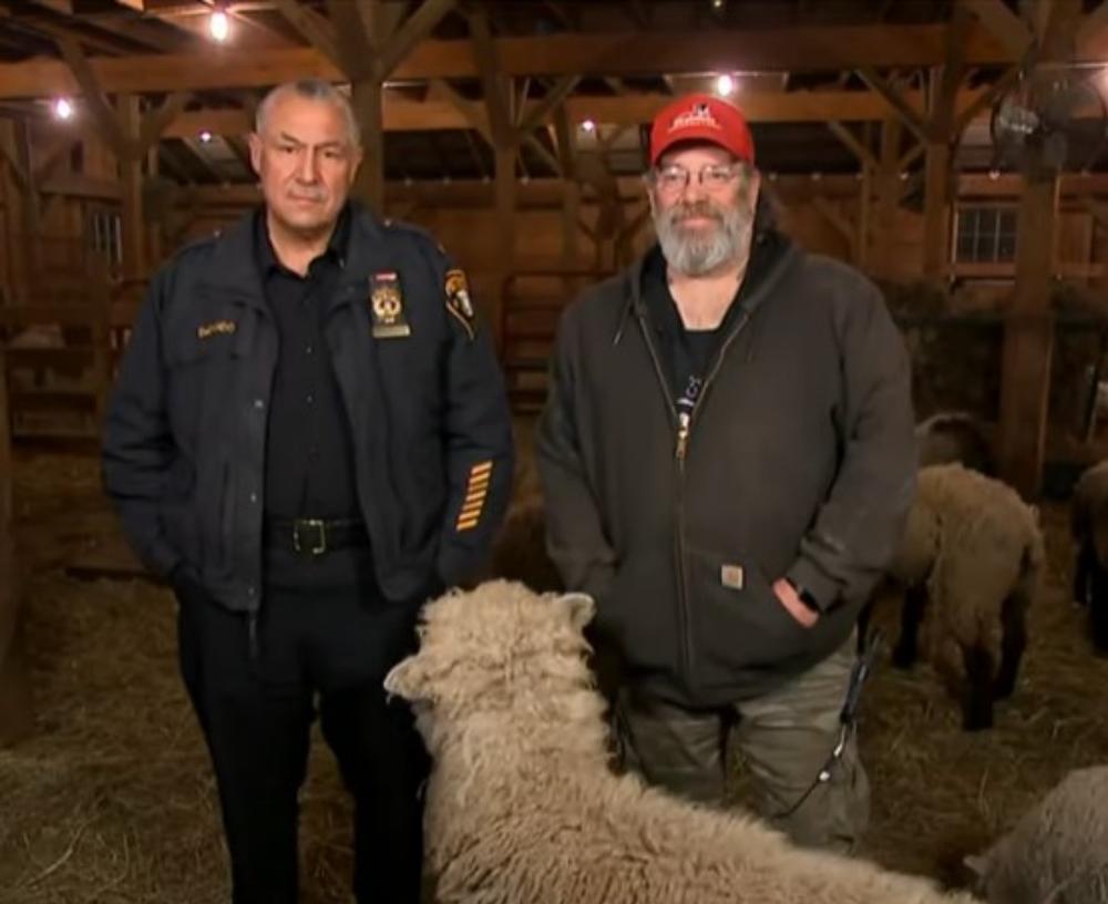 sheep rescued slaughterhouse 2 - Sheep Escape from Slaughterhouse and Get a New Chance at Life