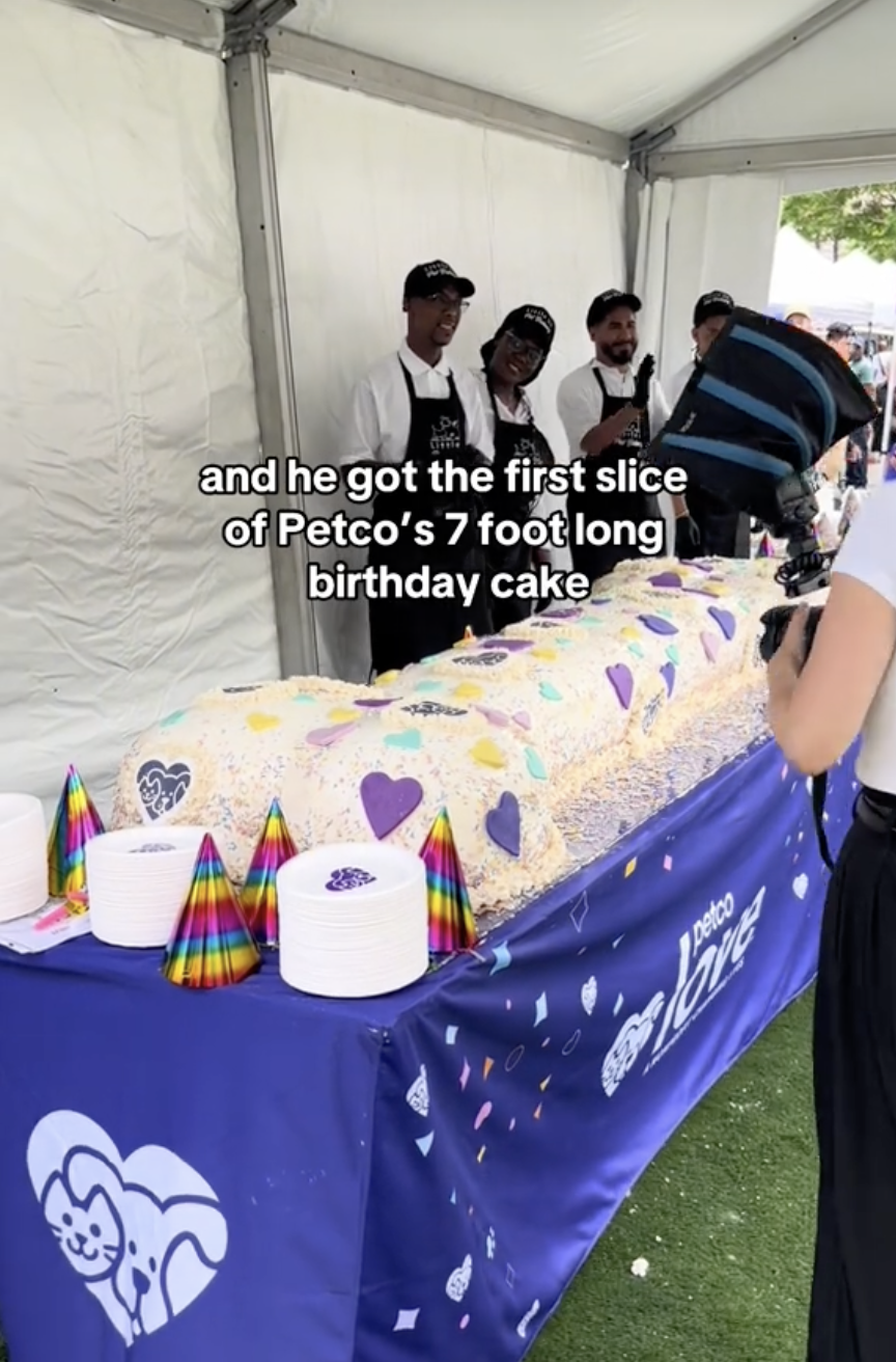 71 Pets From NYC's Largest Shelter Adopted In One Day At Petco's Block
