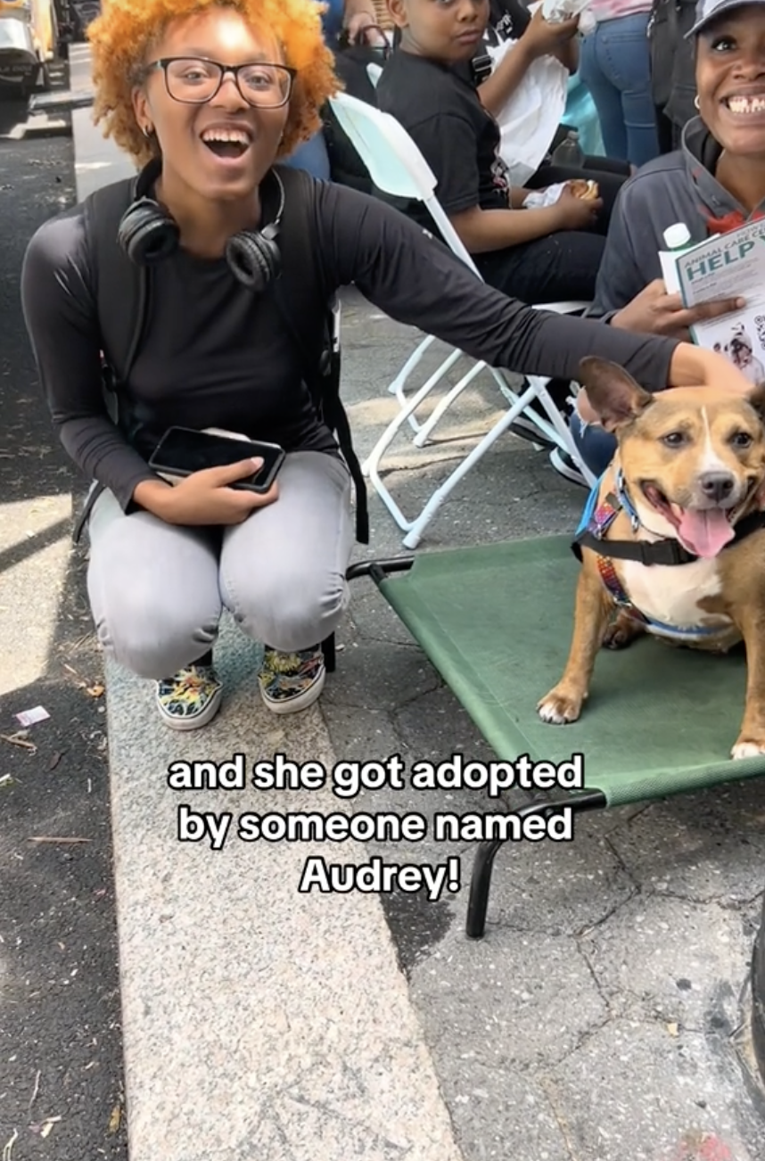 71 Pets From NYC's Largest Shelter Adopted In One Day At Petco's Block